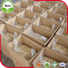 First Grade and High Quality Walnut Kernels with Free Sample